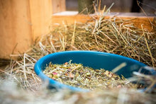 Lade das Bild in den Galerie-Viewer, TvP Strukturmüsli getreidefrei