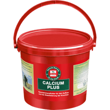 Lade das Bild in den Galerie-Viewer, Salvana Calcium Plus