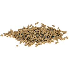 Lade das Bild in den Galerie-Viewer, Salvana Junior