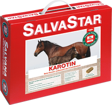 Lade das Bild in den Galerie-Viewer, Salvastar Karotin
