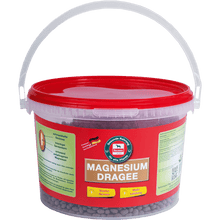 Lade das Bild in den Galerie-Viewer, SALVANA Magnesium Dragees