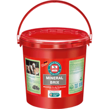 Lade das Bild in den Galerie-Viewer, Salvana Mineralbrix getreidefrei