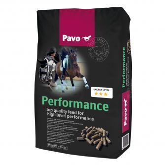 PAVO Performance