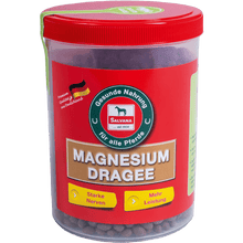 Lade das Bild in den Galerie-Viewer, SALVANA Magnesium Dragees

