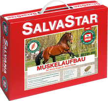 Lade das Bild in den Galerie-Viewer, Salvastar Muskelaufbau
