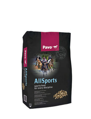 Pavo AllSports