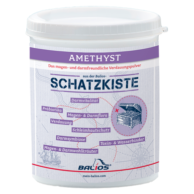 Balios Schatzkiste „AMETHYST“