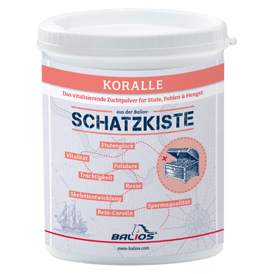 Balios Schatzkiste 