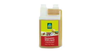 Lexa Glucosamine-MSM-Liquid